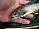 2007-05-22 037.JPG